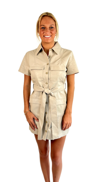 Sincerely Ours Stone Mini Dress