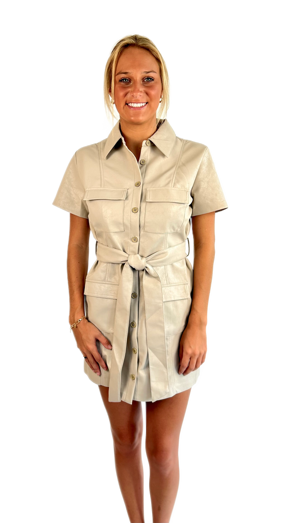 Sincerely Ours Stone Mini Dress